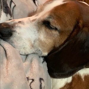 Meet your Posher, Ireland